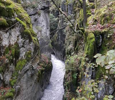 gorges des tines