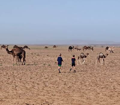 IMG-20260219-WA0057