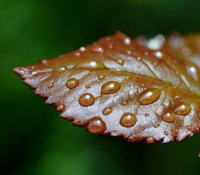 jour_de_pluie