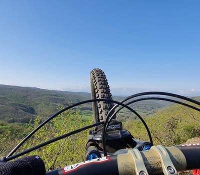 VTT_1