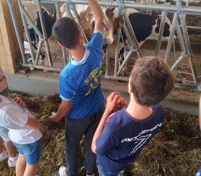 challenge fermier vache enfant