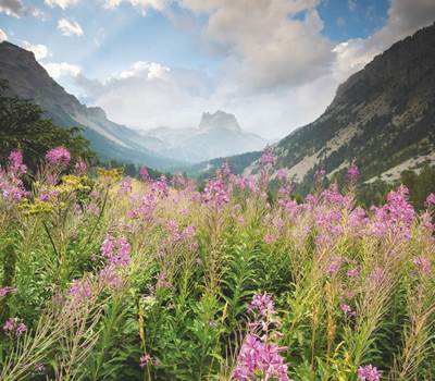 ouverture_alpes_ngt22