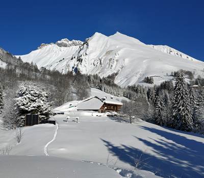 Beauregard en hiver