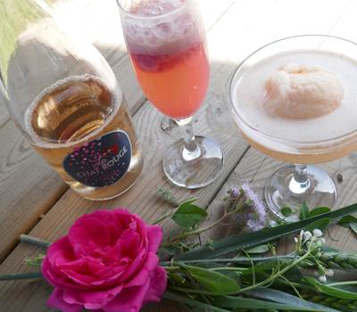 cocktail glacé agamy délices foreziens