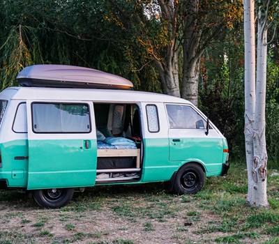 Emplacement à l'ombre du bouleau (Crédit photo : Antonio Araujo - Unsplash)