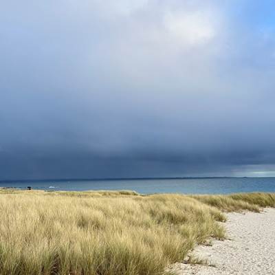 Sentier côtier sous la lumière-news