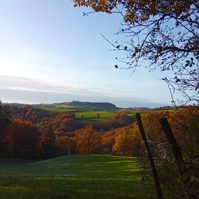 Les chemins de rando-news