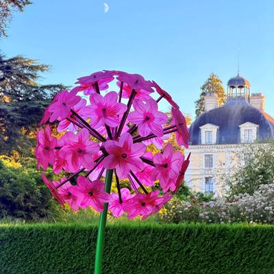 Cheverny en image