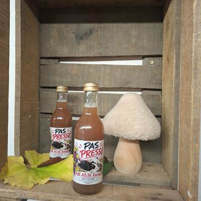 jus-de-raisin-bio-artisanal-pas-presse-clos-liebau-ribeauville.jpg