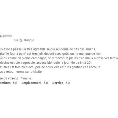 Avis Google 2009