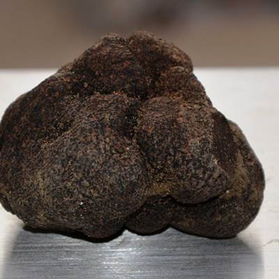 Marché aux truffes de Saint-Paul-Trois-Châteaux-news
