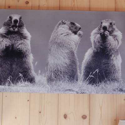 ménage de fin de séjour