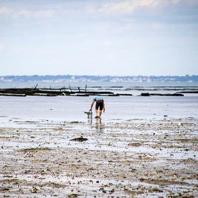 Pêche-a-pied-location-de-vacance-Mont-Calme