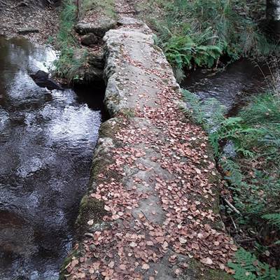 LES PONTS PLANCHES-page