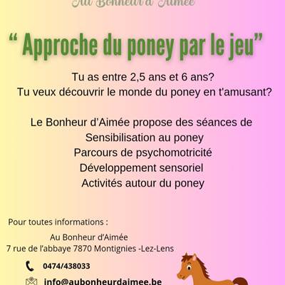 Approche du poney par le jeu