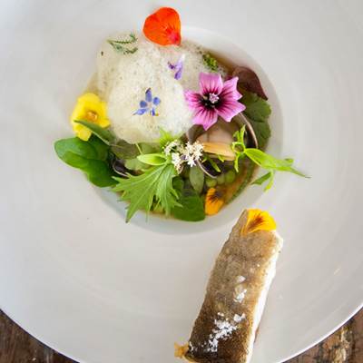 ECEB03C1-7828-4859-A99F-C9A49A0C3E94-page