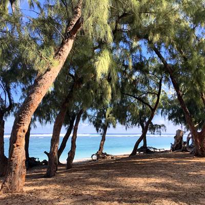 Plage Ermitage-page