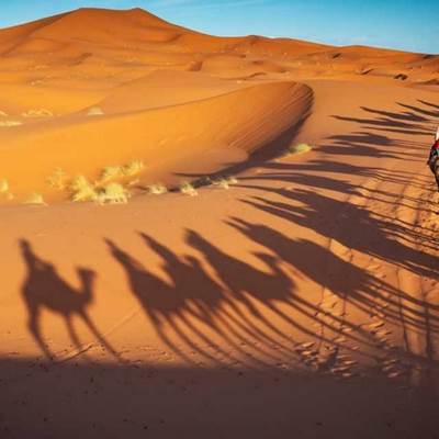 une balade à dos de chameau à travers les dune à Zagora
