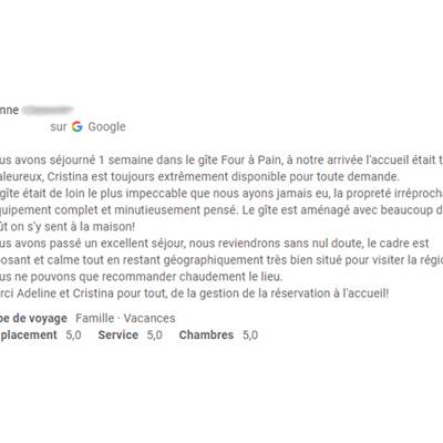 Avis Google 2008