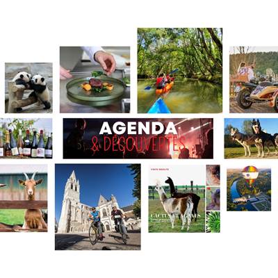 Agenda et decouvertes autour du Domaine des Cyclamens