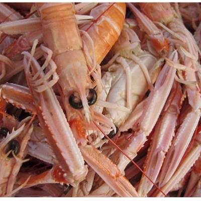 5DAFAFA6-D500-4BFB-B477-CBA9EB8A005B-news