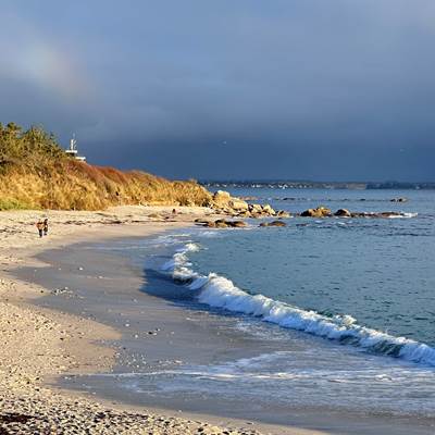 Luminosité bretonne-news