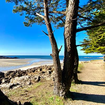 0EFB39FA-4D45-45B2-92B7-FE94F8211AB3-page