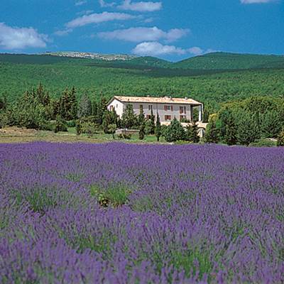 La Bastide du Claus .