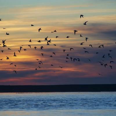 ©Service communication ville de Berck-sur-Mer