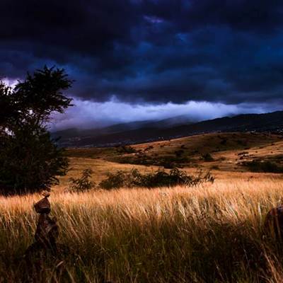 savane réunion-page