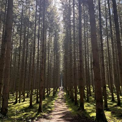 wandelen-kinderen-chimay-riezes