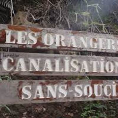 les orangers-page