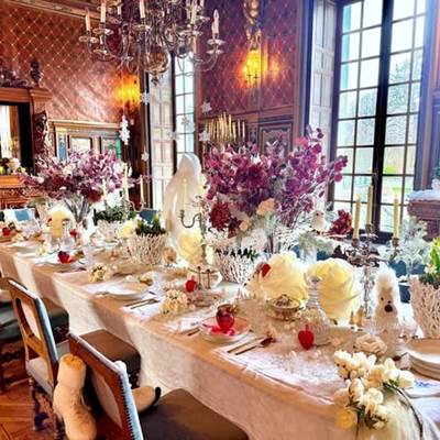 Château de Cheverny