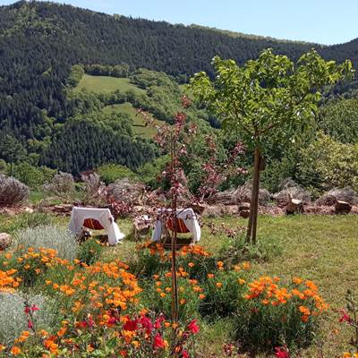 Jardin détente La villa des Raspes-news