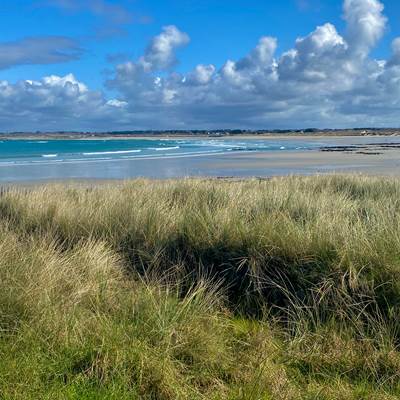 93F81B2F-48D6-4DFE-95D6-DEF40413DE68-page