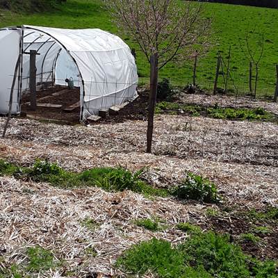 LE POTAGER S'EVEILLE-news