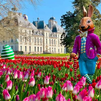 Château de Cheverny