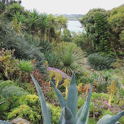 Jardin Georges Delaselle-page