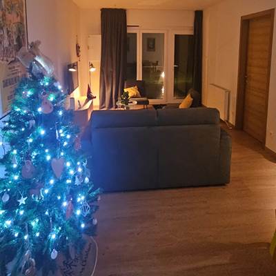 Sapin de Noël à Hourpes