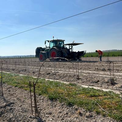 Plantation Pinot Noir APRONIE