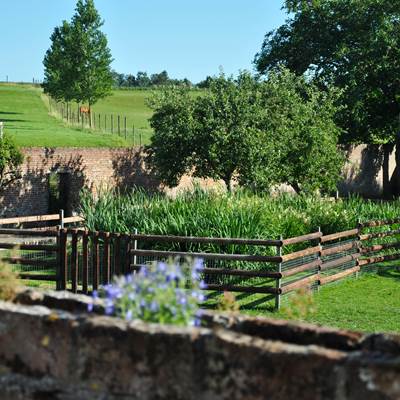 Système de lagunage - gravière - Gites à la Ferme du Parc