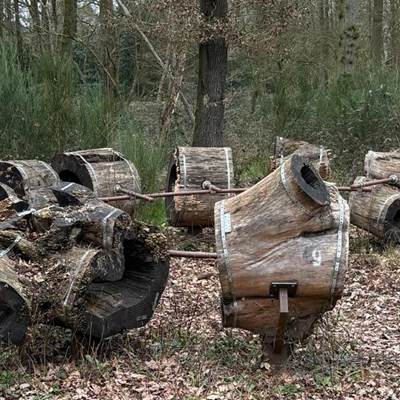 Exposition dans le bois du Grand Bon Dieu