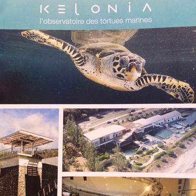 kelonia-page