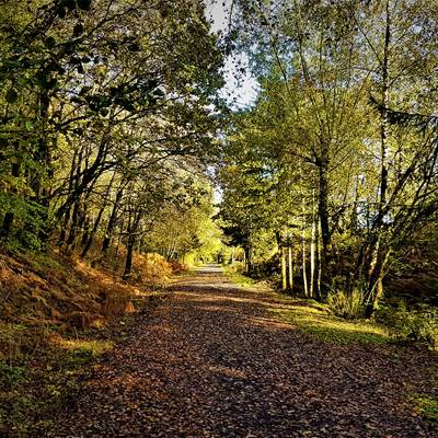 Sur le Ravel à Morhet en automne-news