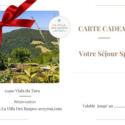 Carte cadeau - Séjour Spa - Aveyron-news