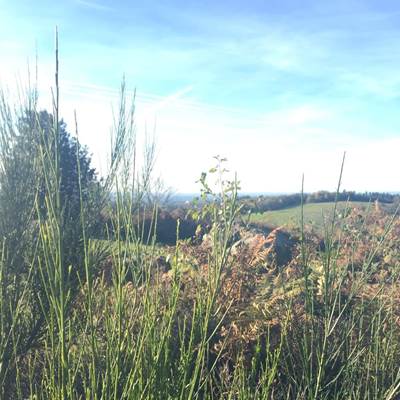 Le site du Mont Gargan-page