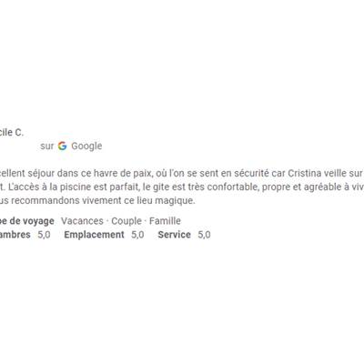 Avis Google 20091