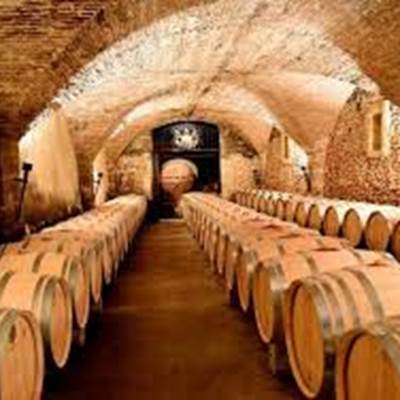 Une des nombreuses caves du vignoble-news
