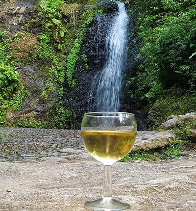 Vin de banane au saut Gendarme - visite excursion gourmande Pile et Face