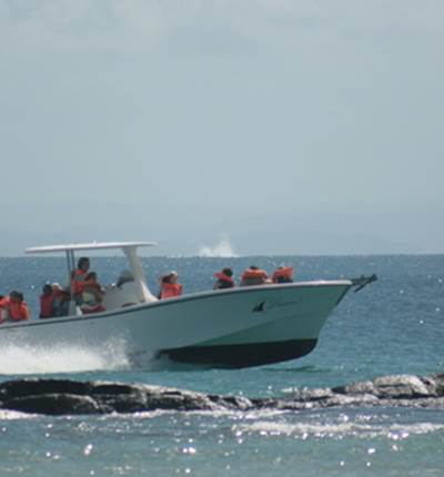 bateau de l'hotel : Libertalia 3 ( retour de sortie )